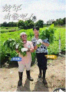 访谈文化综艺深夜书桌全20期